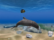 Dolphin Aqua Life 3D Screensaver screenshot